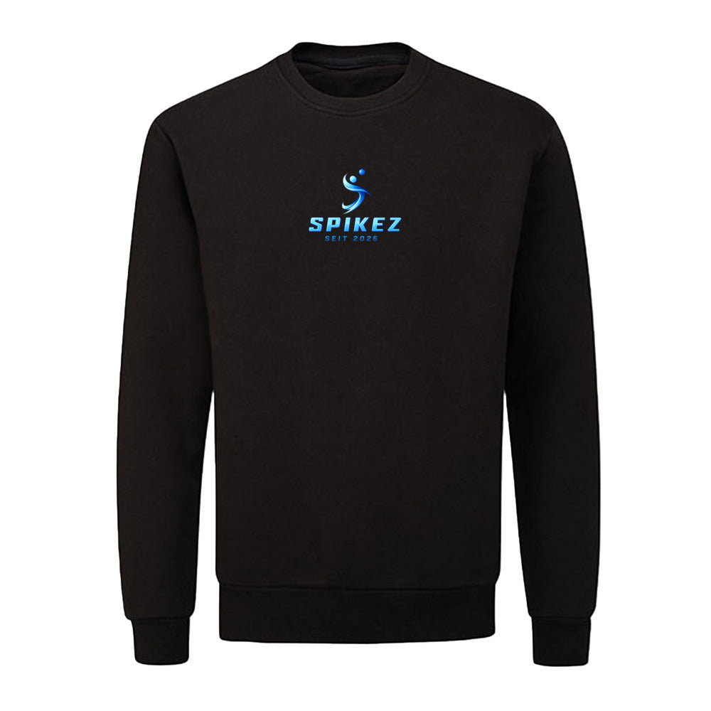 Sweatshirt Standard