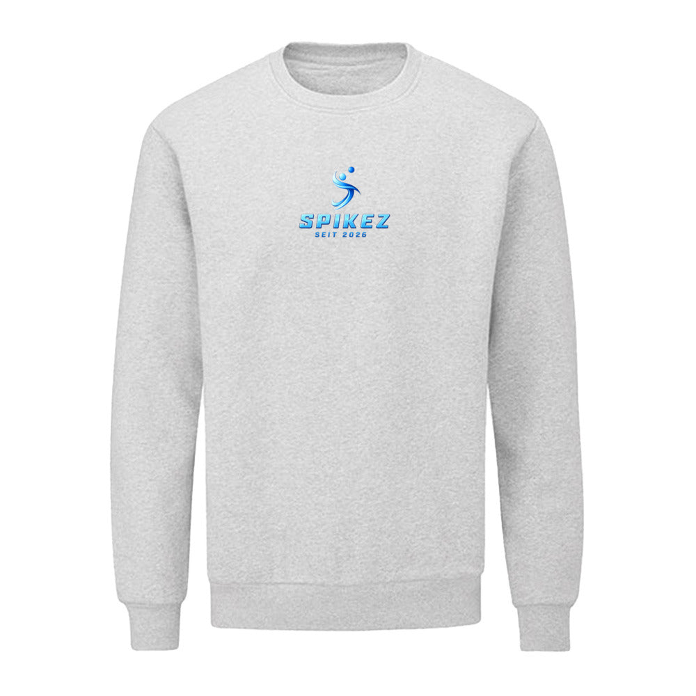 Sweatshirt Standard